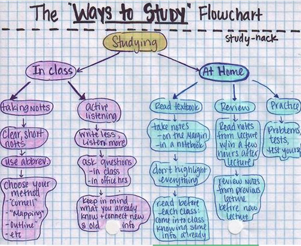 ways to study flowchart