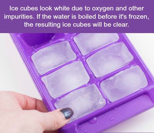 জেনে নাও অদ্ভুত এ পৃথিবীর ২০টি চমক! 3 1 7