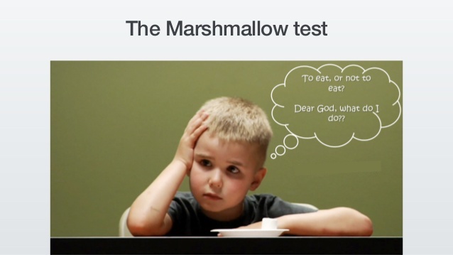 the art of not being too good at the marshmallow test 3 638