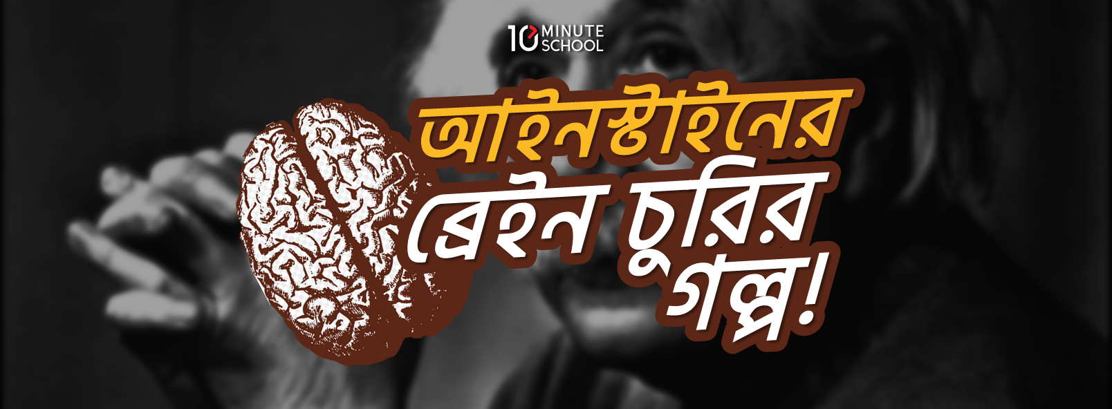 আইনস্টাইনের ব্রেইন চুরির গল্প!