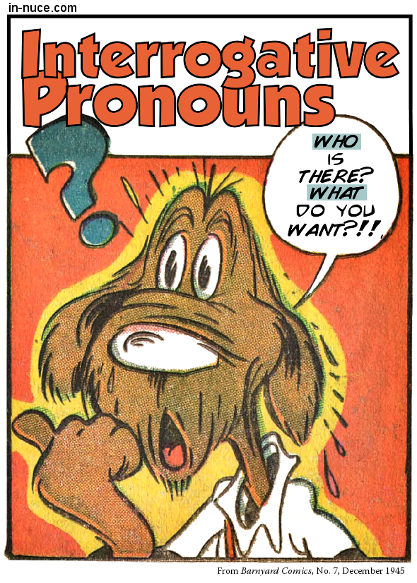 pronoun কাকে বলে 1